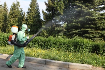 Уничтожение комаров в Краснознаменске
