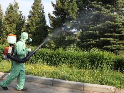 Уничтожение комаров в Краснознаменске